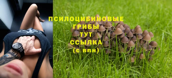 экстази Абаза