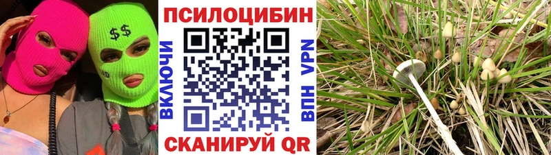 Галлюциногенные грибы Psilocybine cubensis  Инза 