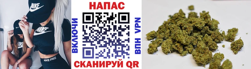 ОМГ ОМГ ссылки  Инза  Шишки марихуана планчик 